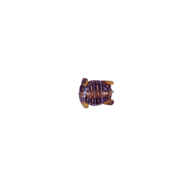 Frog Glass Beads with Lampworked Feather 3529