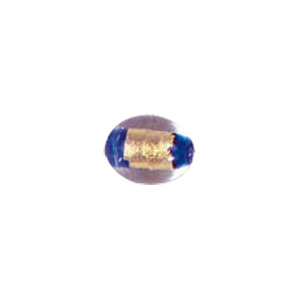Gold Foiled Glass Beads with Colored baseline 3551