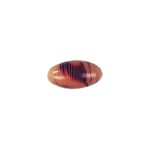 Feather design Oval shaped Lampworked Glass Beads 5219