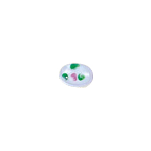 Millefiori Flower Fusion Glass Beads 5664