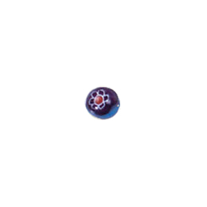 Millefiori Flower Fusion Glass Beads 5690