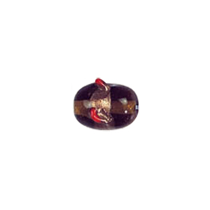 Twisted Gold band Lampworked Glass Beads 6163