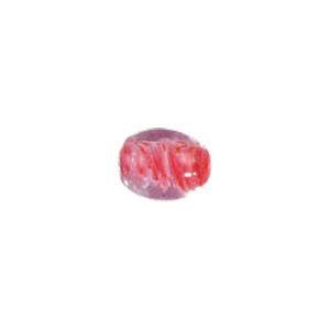 Color lined Glass Beads w or twisted stringer designs 6243