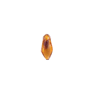 Pressed top hole unique shaped Glass Beads or Pendants 7832