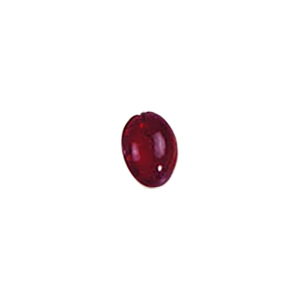 Glass Charms theme Nature 8475