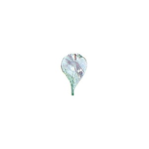 Glass Charms theme Nature 8502