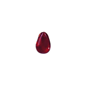 Glass Charms theme Nature 8534