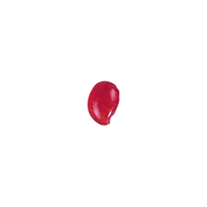 Decorative Glass Charms theme Fruits and Veggies 8541