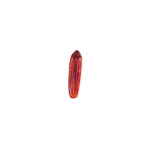 Glass Charms plain 8590