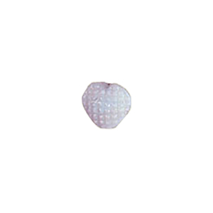 Glass Charms 2 tone 8633
