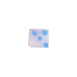 Glass Cabochons decorated Squares 8830