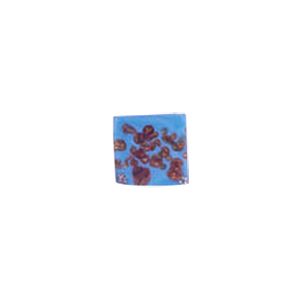 Glass Cabochons decorated Squares 8850