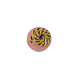 Glass Cabochons decorated Circles 8870