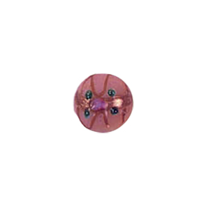 Glass Cabochons decorated 8957