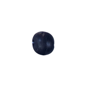 Natural Horn Beads Black 10062