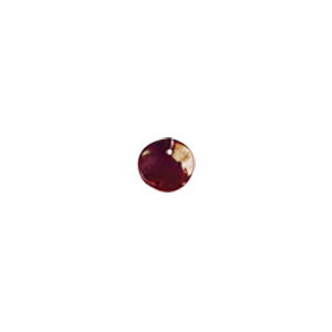 MOP Shell Buttons 10312
