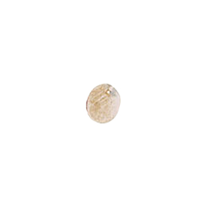 MOP Shell Buttons 10318
