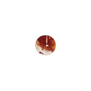 MOP Shell Buttons 10325