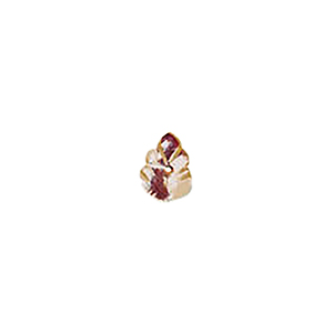 MOP Shell Buttons 10347