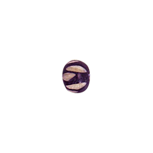 Hand Carved Bone Beads Coloured 9767
