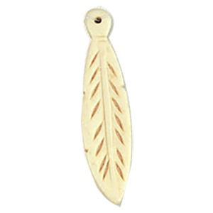 Natural Bone Pendants Nails and Claw 9940