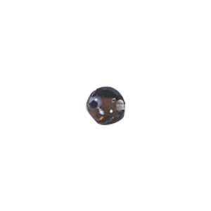 Glass Eye Beads 11064