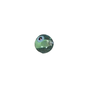 Glass Eye Beads 11083