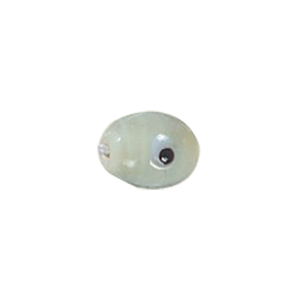 Glass Eye Beads 11106