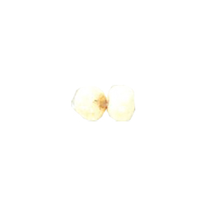 Basic Bone Beads 11259