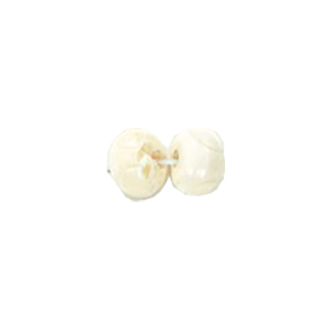 Basic Bone Beads 11260