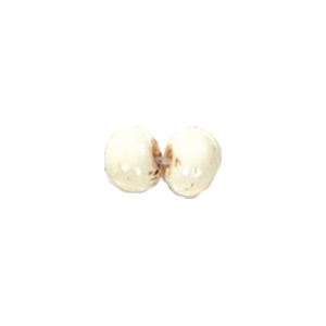 Basic Bone Beads 11261