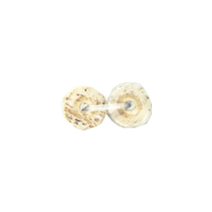 Basic Bone Beads 11300
