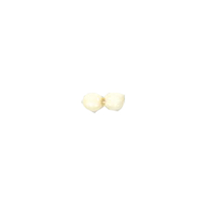 Basic Bone Beads 11311