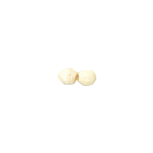 Basic Bone Beads 11313