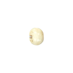 Basic Bone Beads 11323
