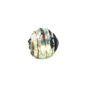 Lampworked Silver Foiled Mirror Foiled Beads 12123