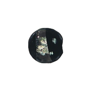 Lampworked Silver Foiled Mirror Foiled Beads 12133