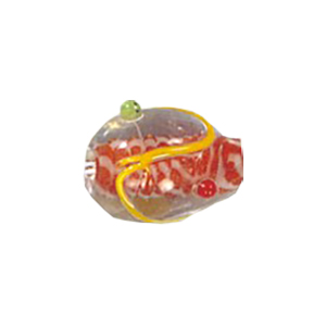 Lampworked Glass Beads Handmade 12341