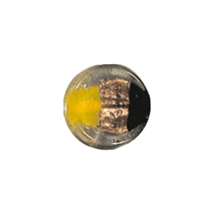 2 tone color lined Glass Beads and w or stringer designs 11703