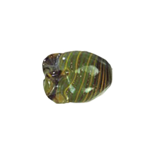 Lampworked Glass Beads Handmade 12450