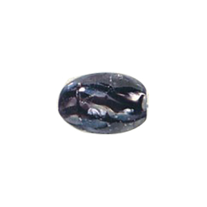 Lampworked Glass Beads Handmade 12461