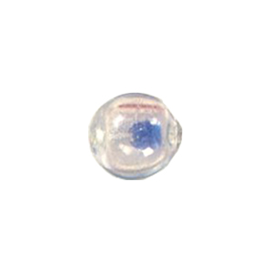 Lampworked Glass Beads Handmade 12824