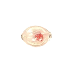 Lampworked Glass Beads Handmade 12827