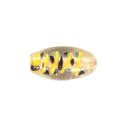 Lampworked Glass Beads Handmade 12847