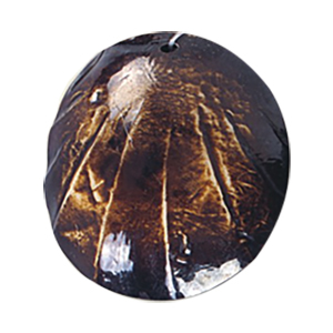 Resin casted Pendants 14521