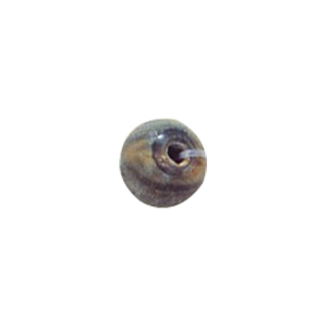 Natural Horn Beads 14550