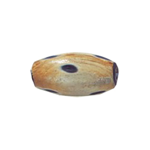 Natural Horn Beads 14554