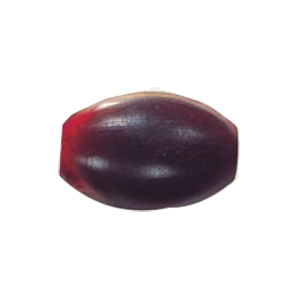 Natural Horn Beads 14561
