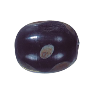 Natural Horn Beads 14573