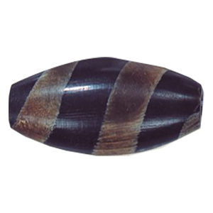 Natural Horn Beads 14574